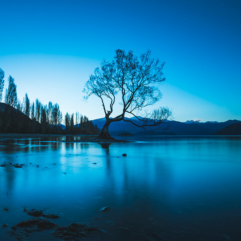 アート・デザイン・音楽 NEOREALISMO E FOTOGRAFIA Fotografia Fine Art | Paisagem Idílica | Gustavo Jacob | Wanaka