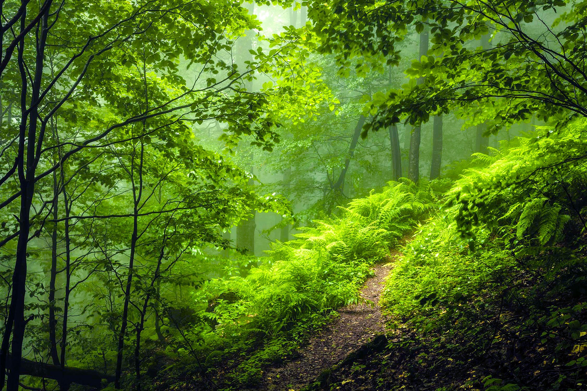 Green Path