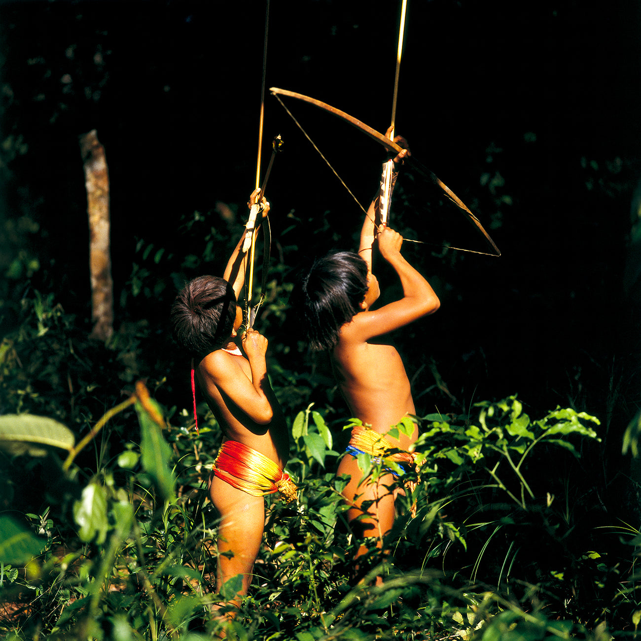 Xingú 1