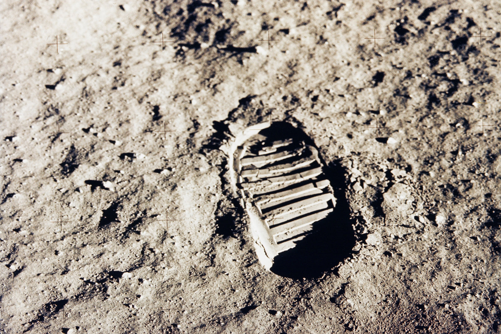 A giant leap for mankind