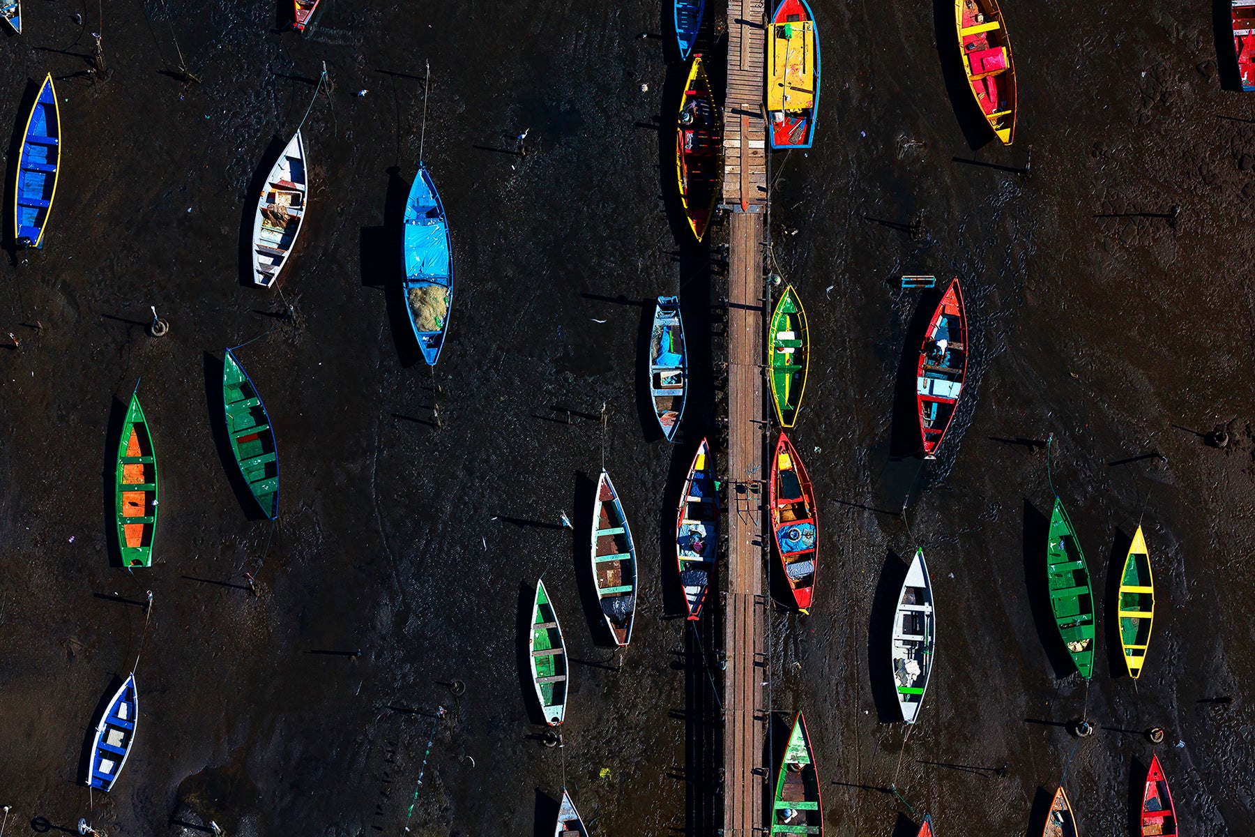 Colors of a low tide