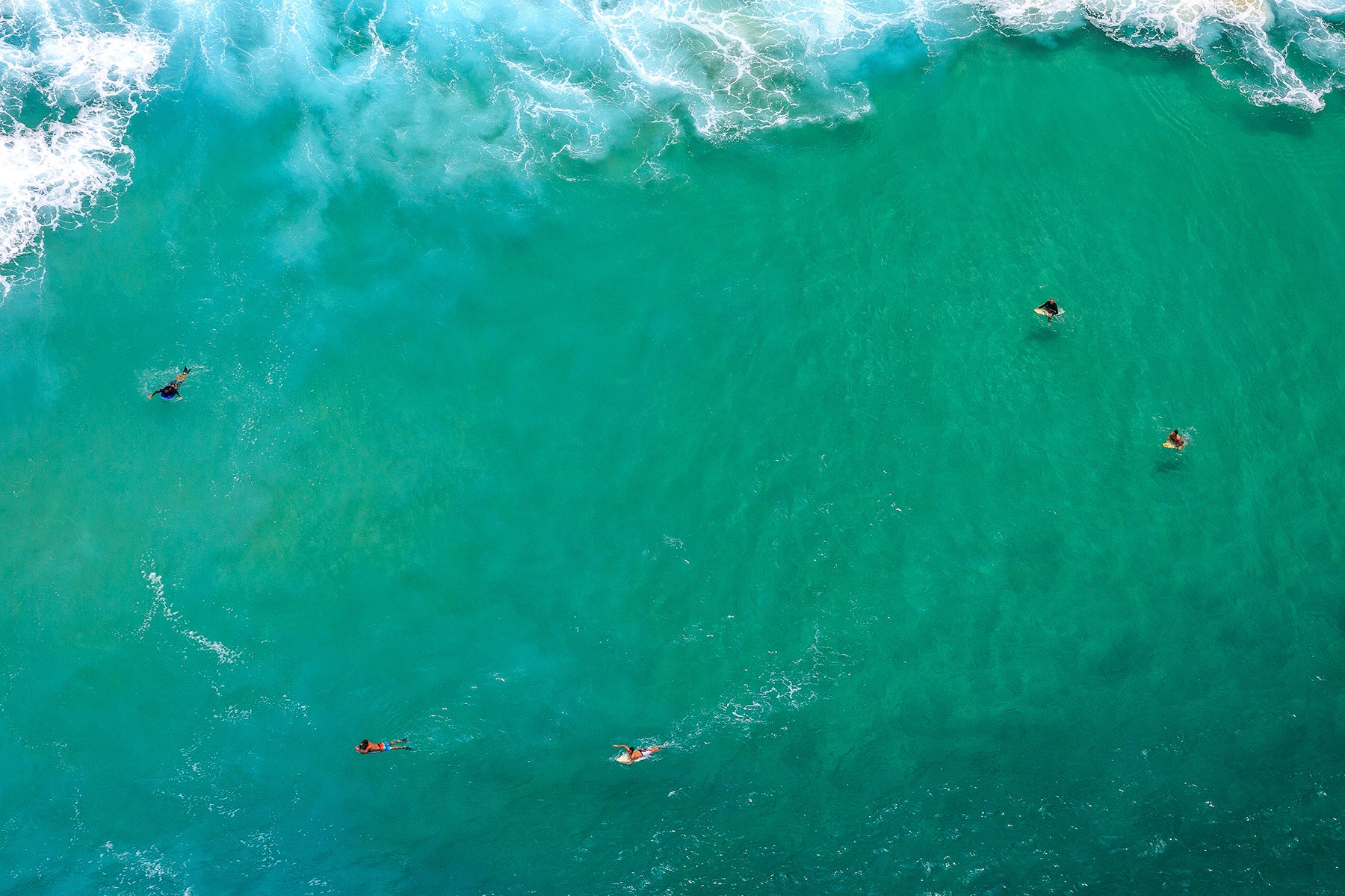 Surfing Day X