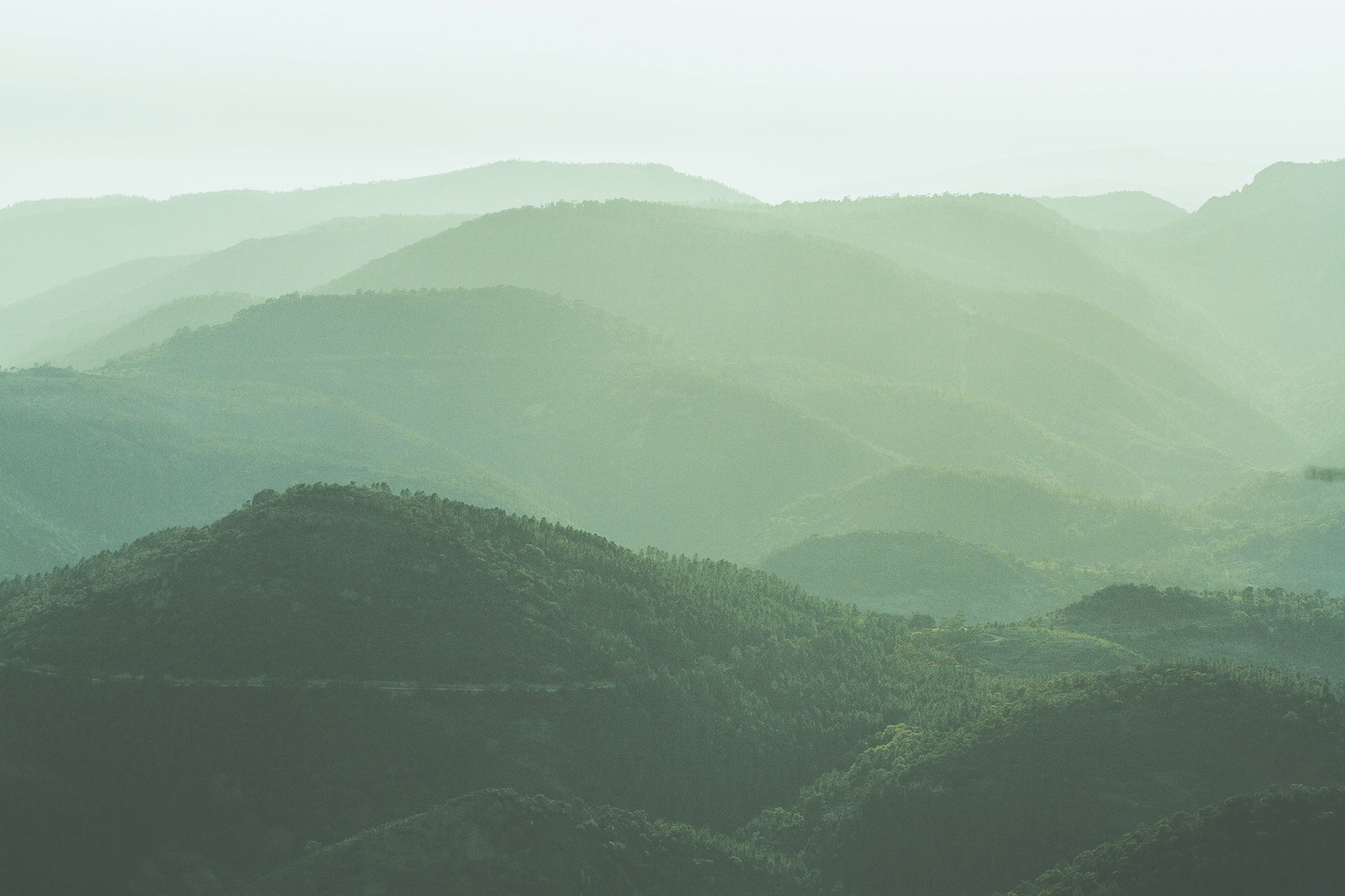 Green Mountain