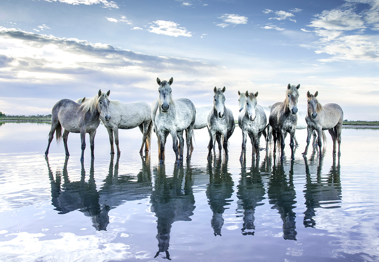 Blue Reflection