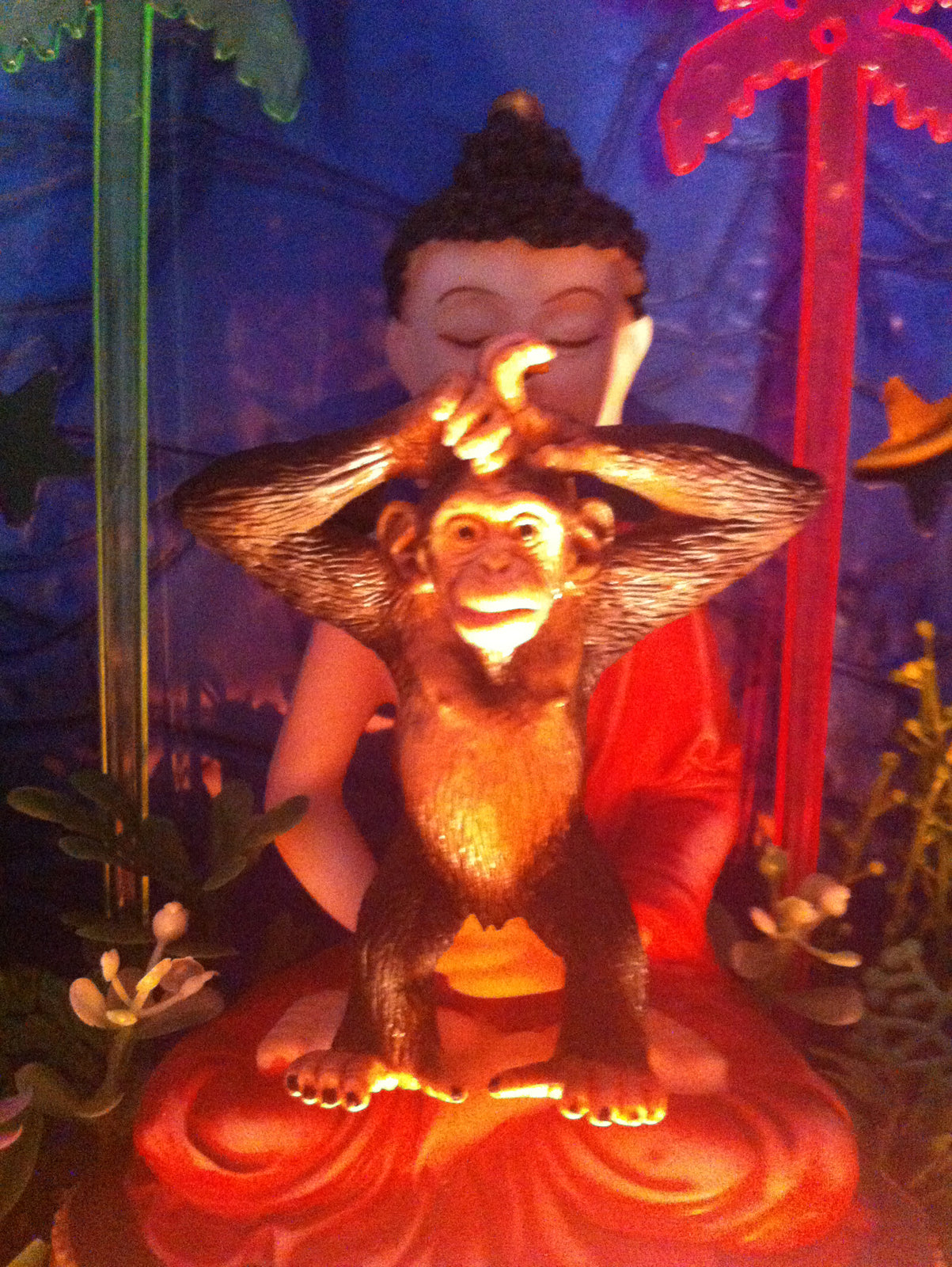 Macaco se iluminando