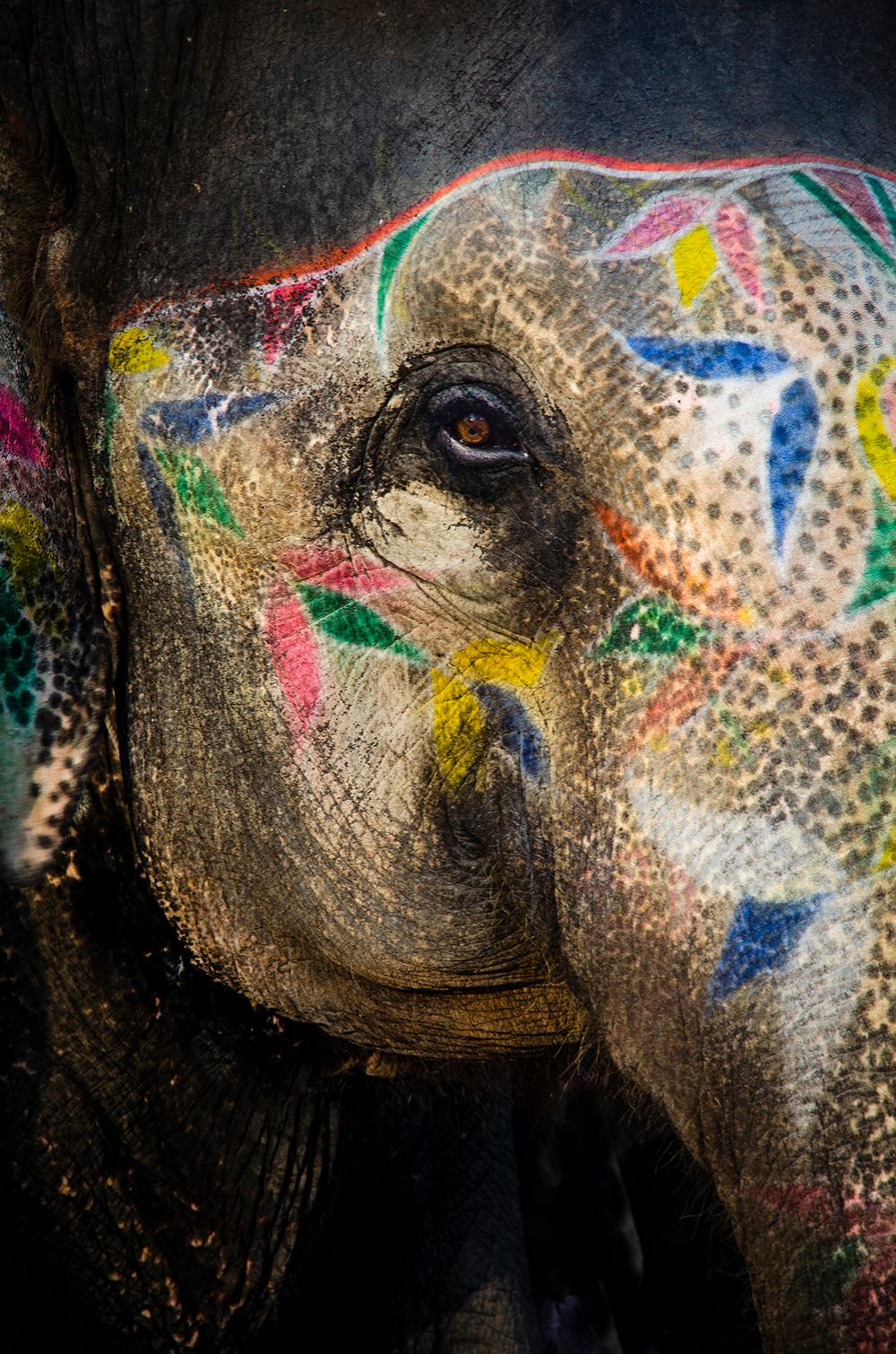 Painted Elephant ll