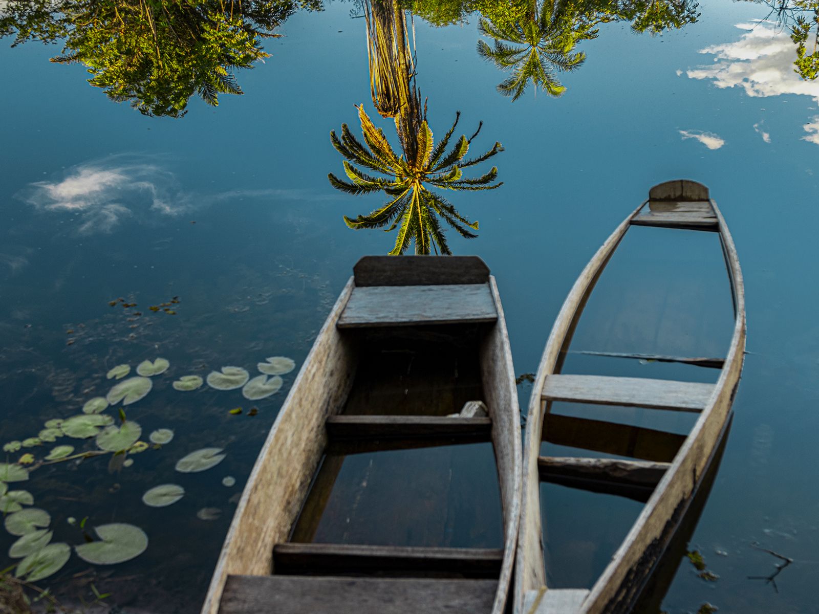 Reflections of the Marimbus