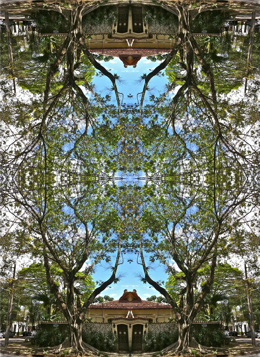 Kaleidoscopic Trees I