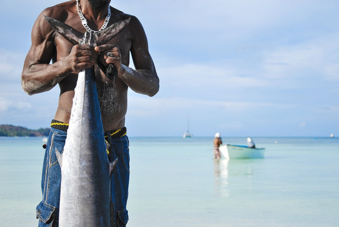 Fisherman Digois - Seychelles