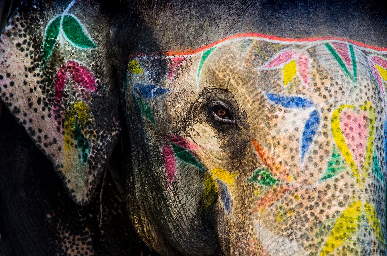Painted Elephant l