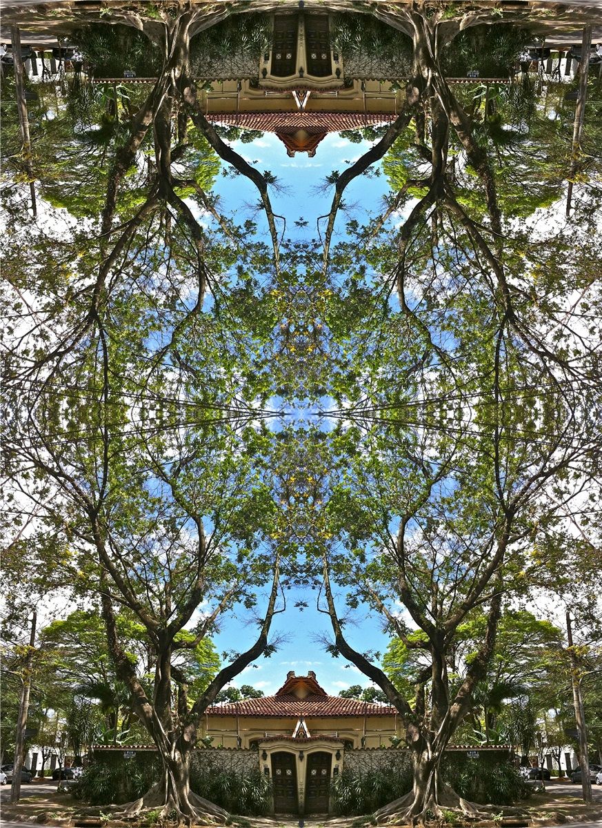 Kaleidoscopic Trees II